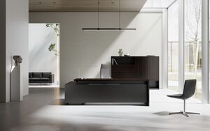 Кабинет руководителя AURUS