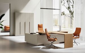 Кабинет руководителя AURUS