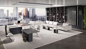 Кабинет руководителя Stone