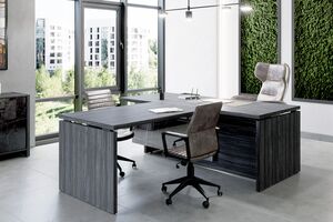 Кабинет руководителя Festus