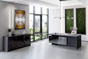 Кабинет руководителя Festus