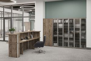 Кабинет руководителя Vasanta