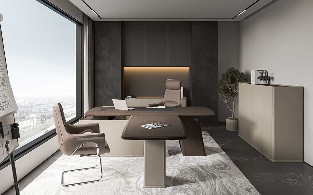 Кабинет руководителя Aston