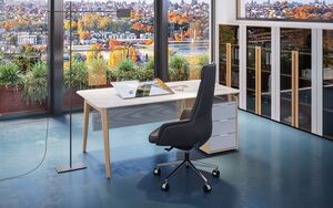 Кабинет руководителя Remo