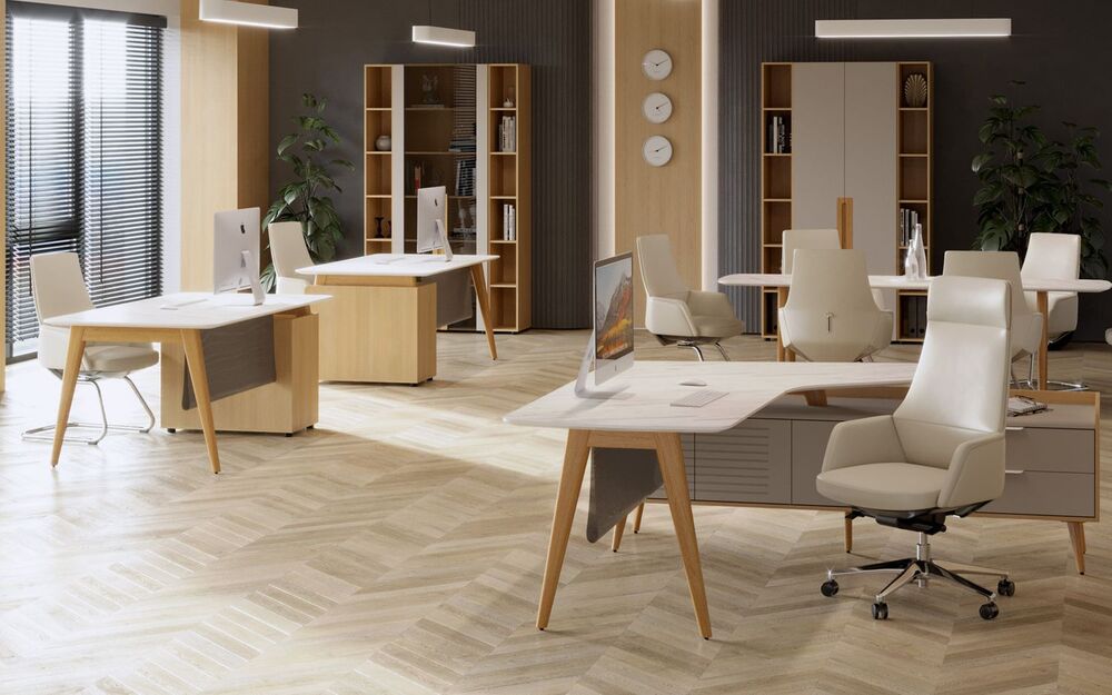 Кабинет руководителя Remo