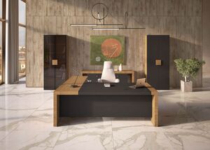 Кабинет руководителя KYU DM