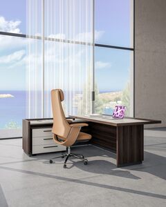 Кабинет руководителя REEF