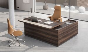 Кабинет руководителя REEF