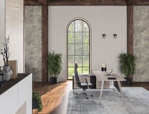 Кабинет руководителя SIRIO