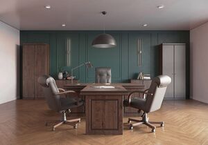 Кабинет руководителя Bern