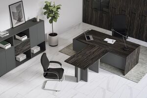 Кабинет руководителя Dali