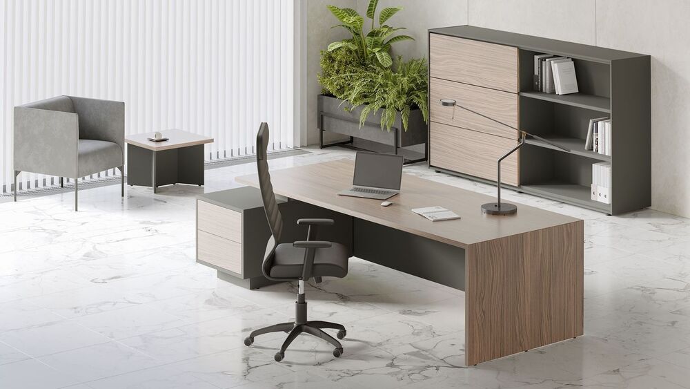 Кабинет руководителя Dali