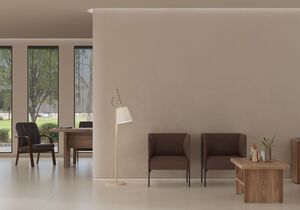 Кабинет руководителя Monza