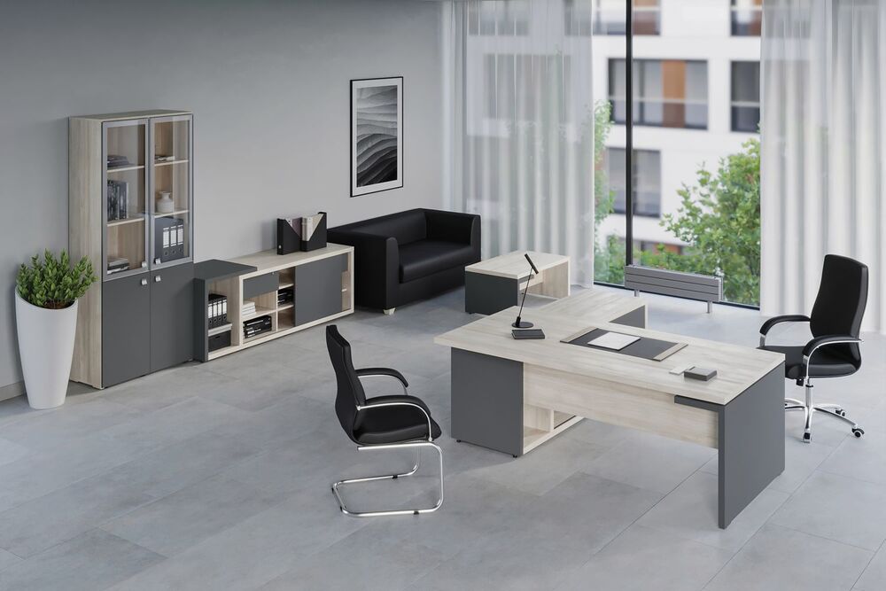 Кабинет руководителя Zion