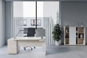 Кабинет руководителя Zion