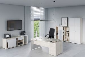 Кабинет руководителя Zion