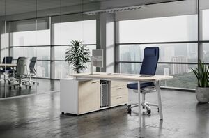 Кабинет руководителя FLEX Light