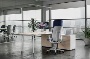 Кабинет руководителя FLEX Light