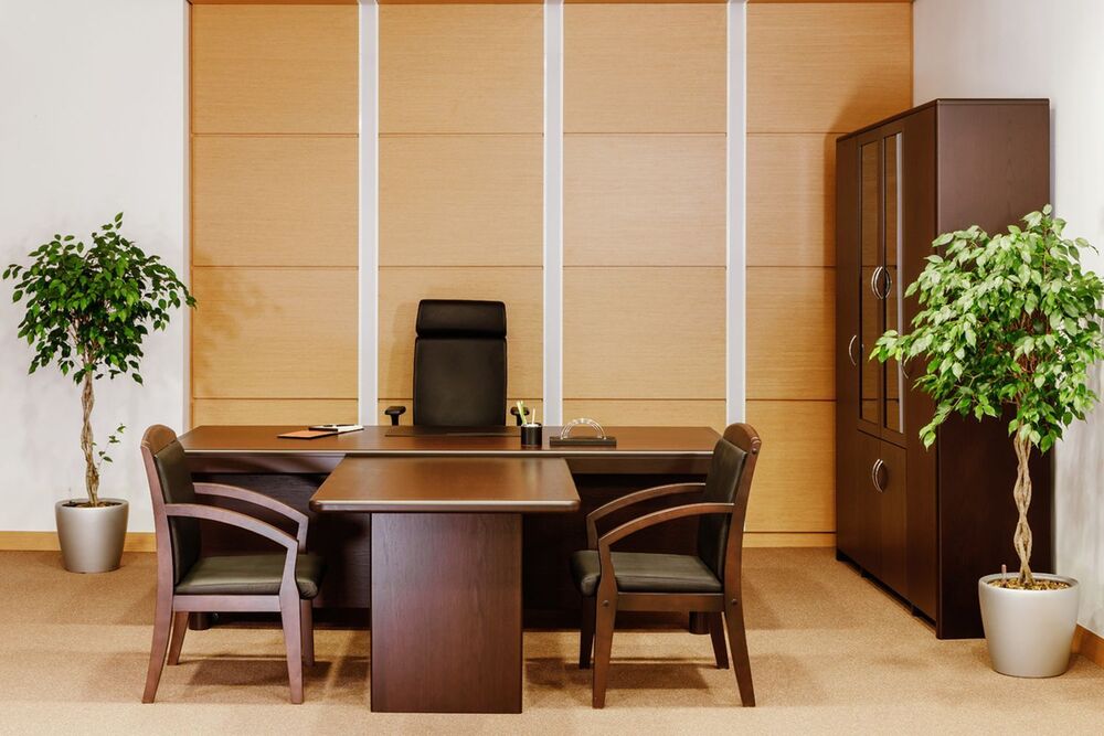 Кабинет руководителя Forte