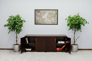 Кабинет руководителя Forte