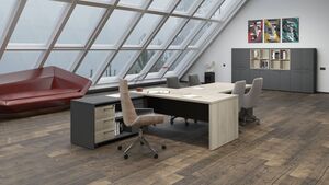 Кабинет руководителя Кортез