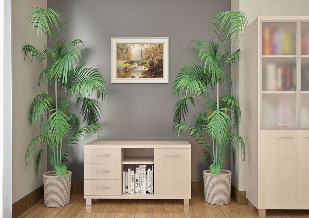 Кабинет руководителя FIRST