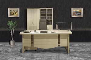 Кабинет руководителя Борн