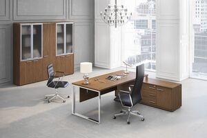 Кабинет руководителя Orion