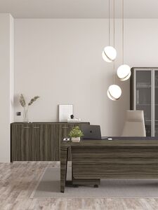 Кабинет руководителя Premium