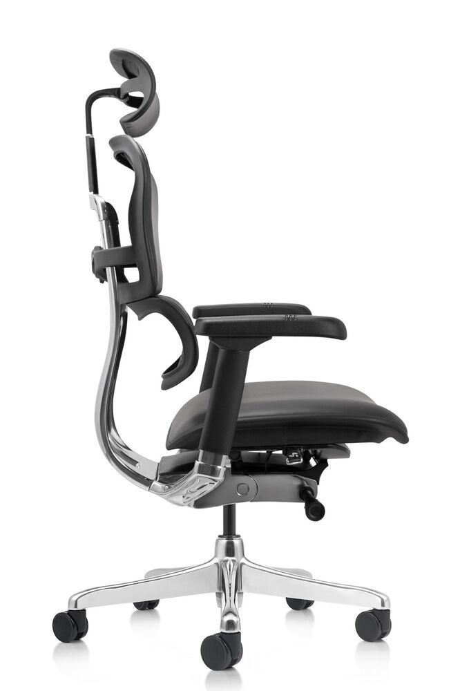 Кресло для руководителя Ergohuman Elite 2
