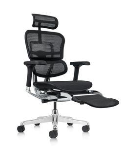 Кресло для руководителя Ergohuman Elite 2 Legrest
