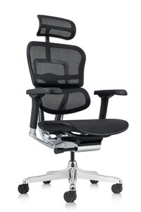Кресло для руководителя Ergohuman Elite 2