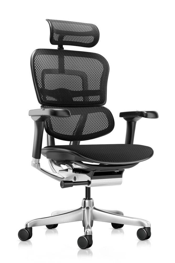 Кресло для руководителя Ergohuman Elite 2