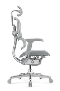 Кресло для руководителя Ergohuman Elite 2