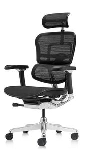 Кресло для руководителя Ergohuman Luxury 2