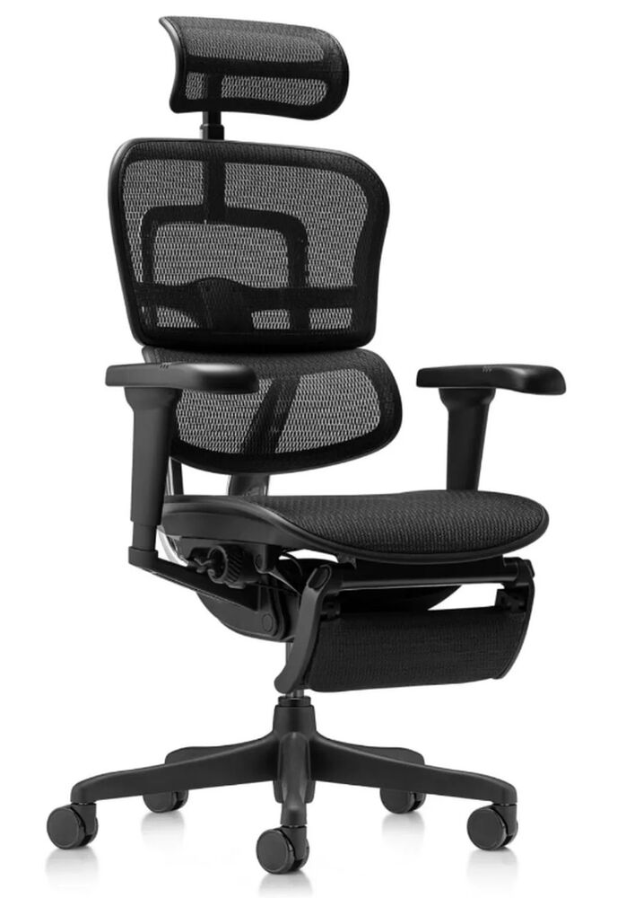 Кресло для руководителя Ergohuman Ultra Legrest