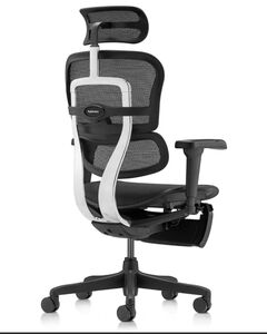 Кресло для руководителя Ergohuman Ultra Legrest