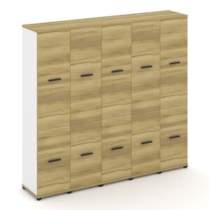 Шкаф пять узких секций, 5 ниш